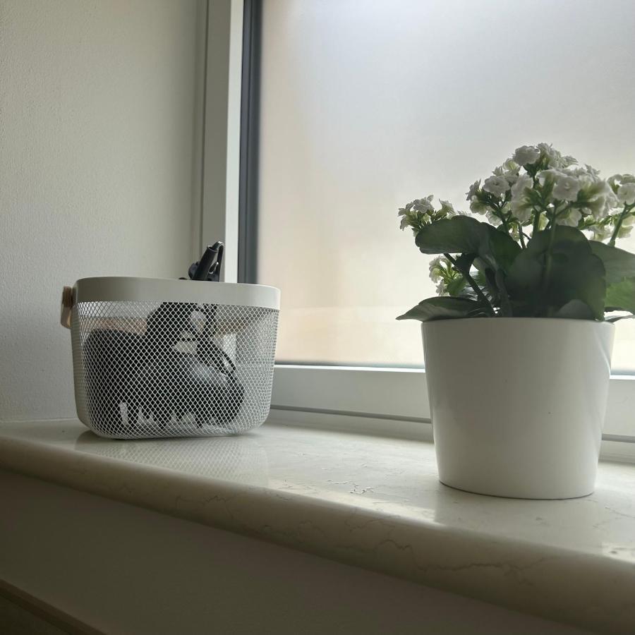 레비코온천 Casa Carolina B&B 외부 사진